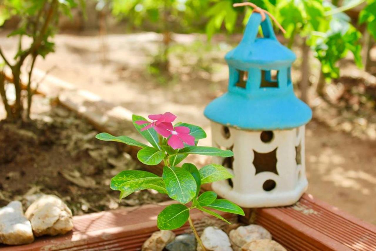Casa Mediterranea Guest house 3*